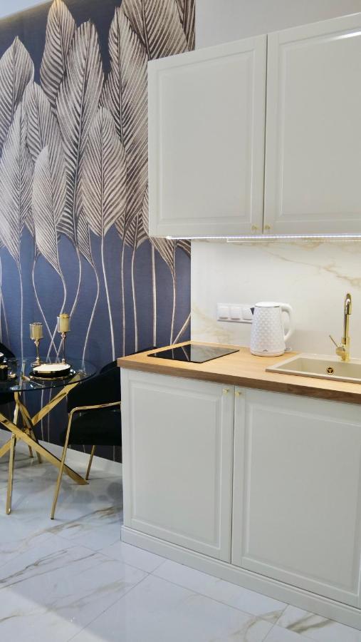 Art Apartments Warszawska 21 卡托维兹 外观 照片